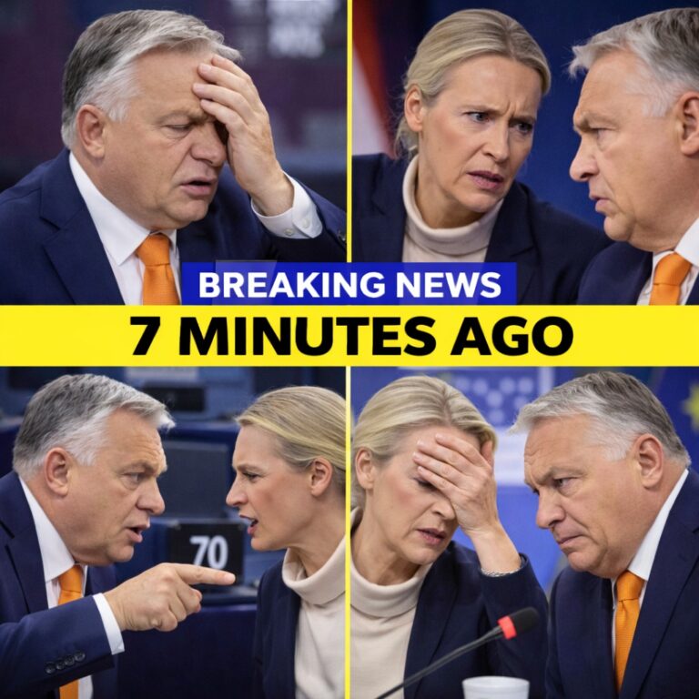 Viktor Orbán receives Alice Weidel in Budapest – and suddenly the power structure in Brussels is shaken